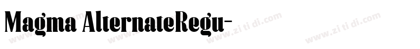 Magma AlternateRegu字体转换